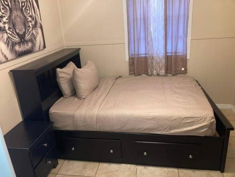 Hidden Gem 3br/1b+jacuzzi+busch Garden+fishn+kayak Ferienhaus Tampa